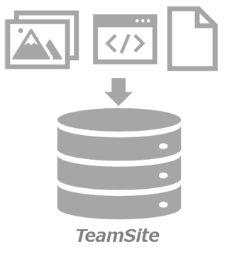 TeamSite（チームサイト）はファイル形式を選ばずに投入できる